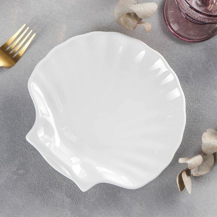 Блюдо-ракушка Shelley, d=20 см