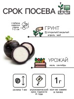 Семена Редька "Зимняя круглая чёрная", среднеспелая, 1 г