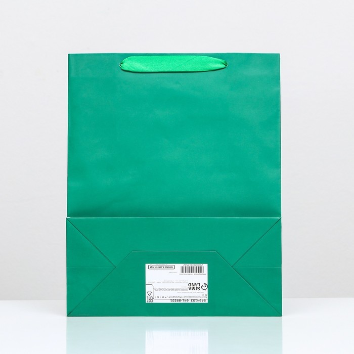Пакет подарочный ламинированный «Зелёный», 26×32×12 см