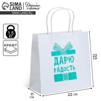 Пакет подарочный, упаковка, «Дарю радость», 22×22×11 см