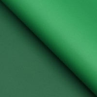 Пленка двухсторонняя для цветов и букетов, 0.57×5 м зелёный МИКС