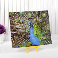 Алмазная вышивка с частичным заполнением "Павлин" с подставкой