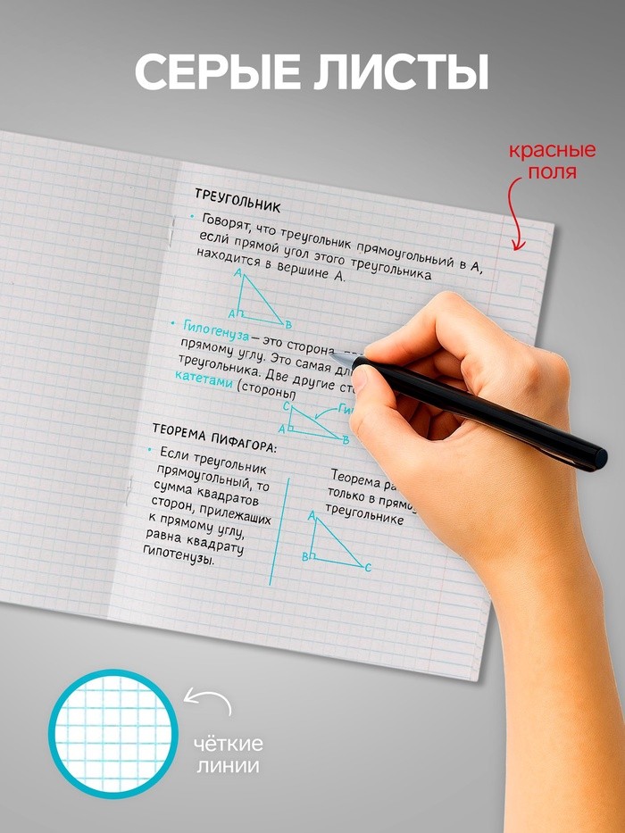 Набор тетрадей, 48 листов в клетку Calligrata «Города», серые листы, 5 штук Набор тетрадей, 48 листов в клетку Calligrata «Города», серые листы, 5 штук