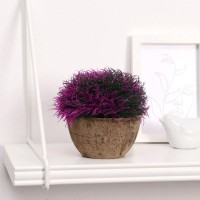 Бонсай в горшке "Густые листики" 13х11 см, микс