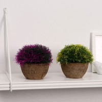 Бонсай в горшке "Густые листики" 13х11 см, микс