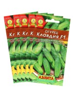 Семена Огурец «Клавдия», F1, раннеспелый, партенокарпический, набор 5 шт., «Мой выбор»
