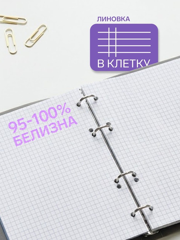 Тетрадь на кольцах Calligrata A5, 80 листов, в клетку, пластиковая обложка, блок офсет, салатовая