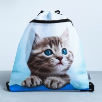 Мешок для обуви «Милый котик» 2 секции, 41×31 см