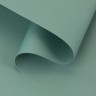 Пленка для цветов тонированная, матовая, серо-зелёная, 57×57±1 см, 65 мкм