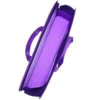 Папка пластиковая с ручками А4, на молнии, 8×33×24 cм, «Холодное сердце»