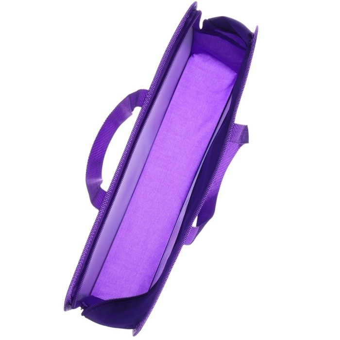 Папка пластиковая с ручками А4, на молнии, 8×33×24 cм, «Холодное сердце»