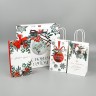 Набор новогодних пакетов «Новогодняя пора» Набор новогодних пакетов «Новогодняя пора»