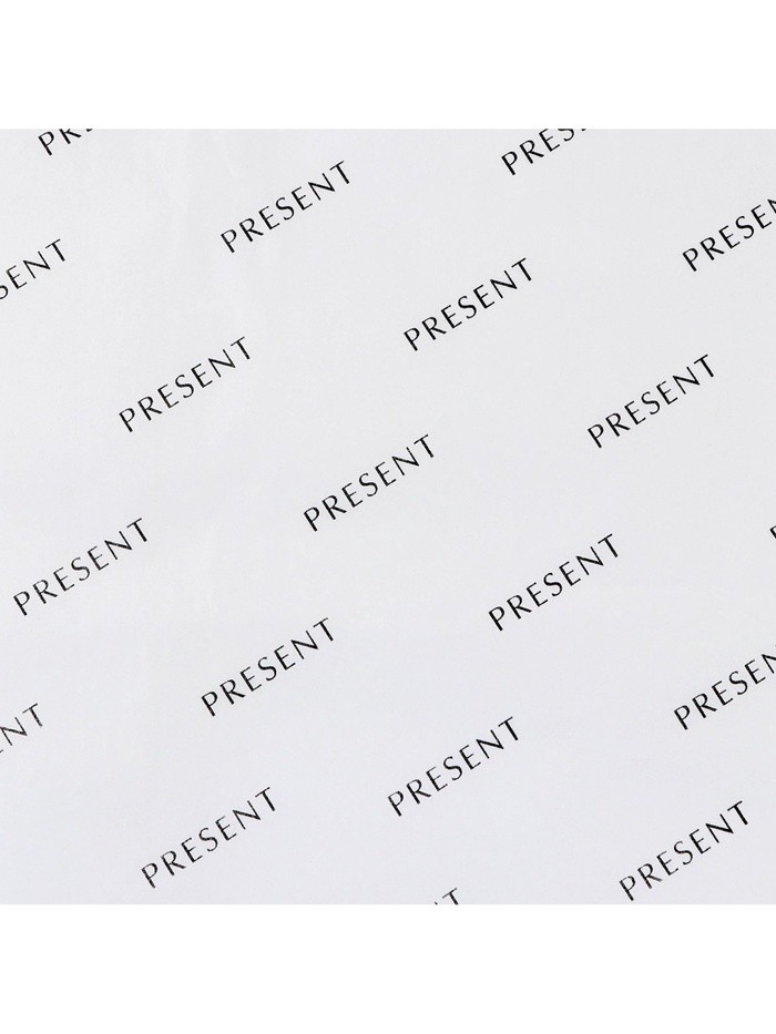 Бумага упаковочная тишью «Present», белая, 50×70 см Бумага упаковочная тишью «Present», белая, 50×70 см