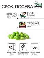 Семена Горох сахарный "Рафинад", 5 г