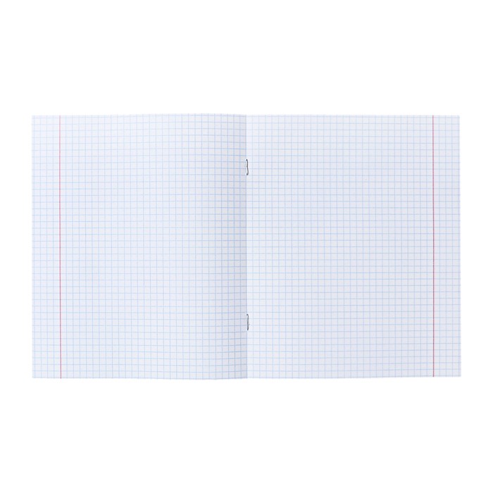 Набор тетрадей 48 листов в клетку, Calligrata «Подводная сказка», обложка мелованный картон, 5 шт. Набор тетрадей 48 листов в клетку, Calligrata «Подводная сказка», обложка мелованный картон, 5 шт.