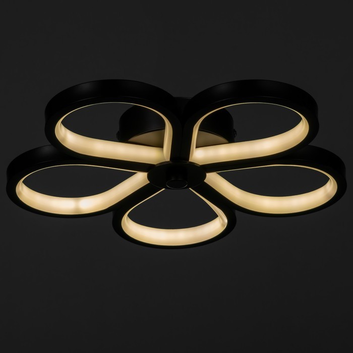 Светильник 2515/5 LED 20Вт 4000К чёрный d.30 см BayerLux