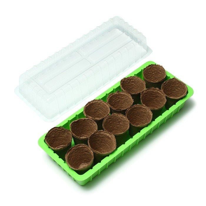 Мини-парник: 40 × 16 × 13 см, торфяной горшок 6 × 6 см (12 шт.)