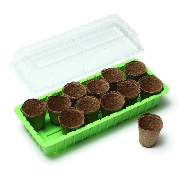 Мини-парник: 40 × 16 × 13 см, торфяной горшок 6 × 6 см (12 шт.)