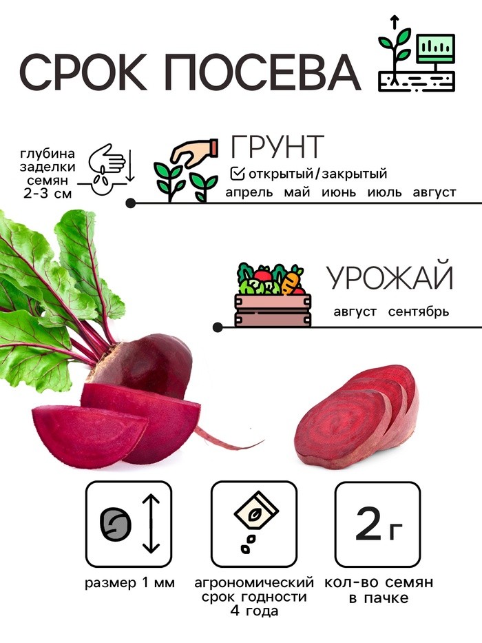 Семена свёклы "Египетская плоская", 2 г