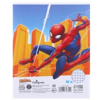 Подарочный набор для мальчика, 10 предметов, Человек-паук