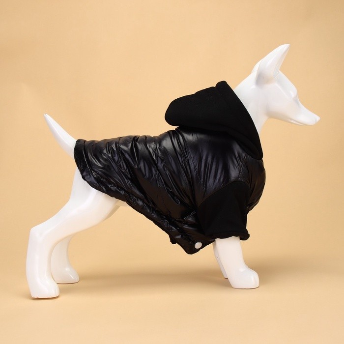 Куртка для собак «Спорт» с капюшоном, размер XL, чёрная