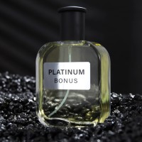 Туалетная вода мужская ТBonus Platinum, 100 мл