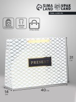 Пакет подарочный ламинированный горизонтальный Present, L 40×31×14 см
