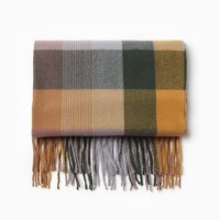 Шарф зимний с кистями MINAKU, размер 65×180 + 8 см, принт клетка