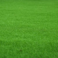 Мох искусственный, декоративный, полотно 1 × 1 м, зелёный