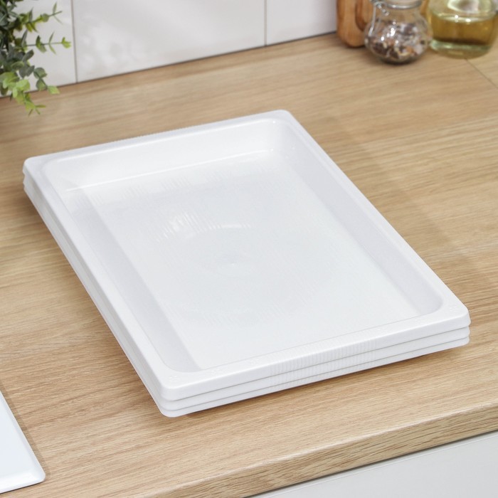 Набор подносов для заморозки пельменей, 25×35,5×3 см, 3 шт, цвет МИКС