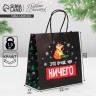 Пакет подарочный новогодний «Это лучше, чем», 22×22×11 см