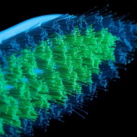 Щётка-утюжок 14×5×6,5 см, цвет МИКС