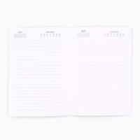 Ежедневник А5, 80 листов, недатированный, в мягкой обложке «Думы царские да мысли великие»