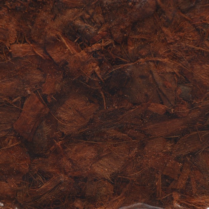 Чипсы кокосовые, для террариумов и растений, в брикете, 5 л, Greengo Чипсы кокосовые, для террариумов и растений, в брикете, 5 л, Greengo