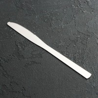 Нож столовый Доляна «Нордик», h=20,2 см, толщина 2 мм, цвет серебряный