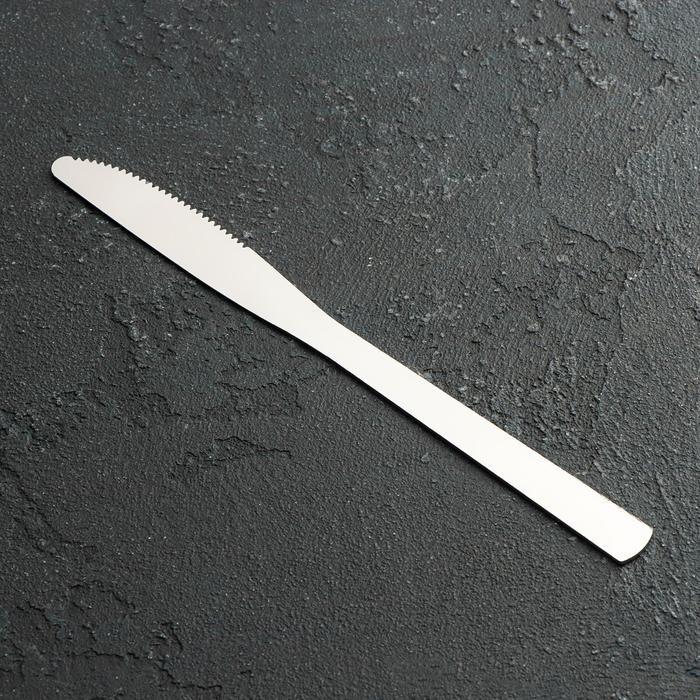 Нож столовый Доляна «Нордик», h=20,2 см, толщина 2 мм, цвет серебряный