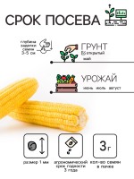 Семена Кукуруза "Краснодарский сахарный 250 CВ", 3 г