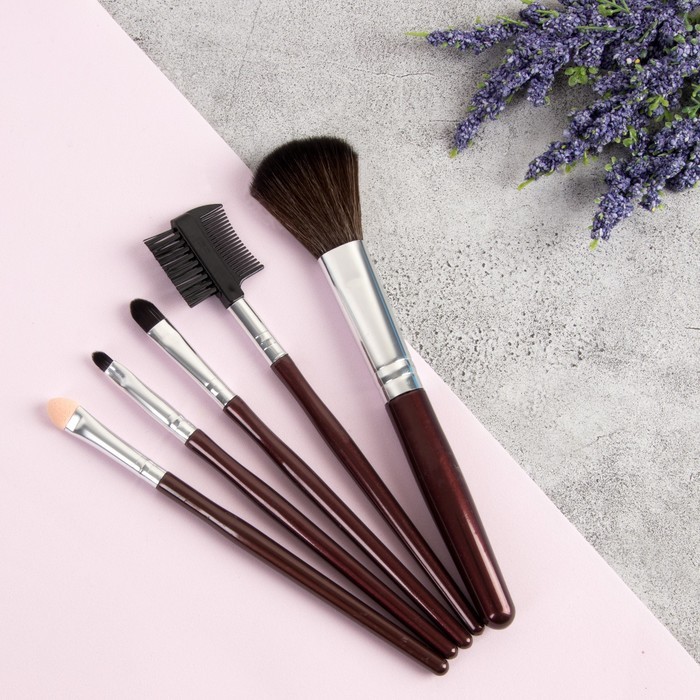 Набор кистей для макияжа, 5 предметов, PVC - чехол, цвет тёмно-коричневый