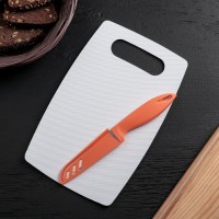 Набор кухонный Доляна, 2 предмета: доска разделочная противоскользящая прямоугольная 25×15 см, нож, цвет МИКС