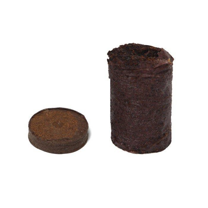 Таблетки торфяные, d = 4.2 см, набор 50 шт.