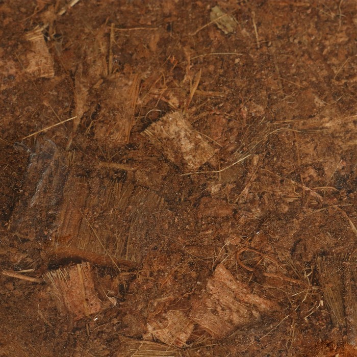 Субстрат кокосовый, универсальный, для террариумов и растений, в брикете, 4 л, 30% чипсы и 70% торф, Greengo