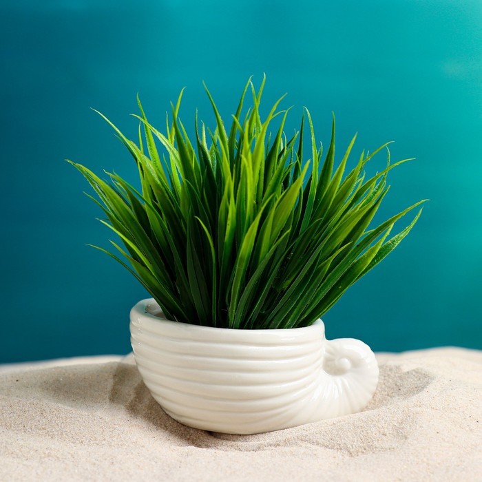 Набор кашпо "Ракушки" 6шт, 8х6х8см, белые