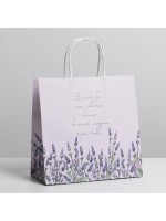 Пакет подарочный, упаковка, «Если бы», 22×22×11 см