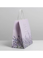 Пакет подарочный, упаковка, «Если бы», 22×22×11 см