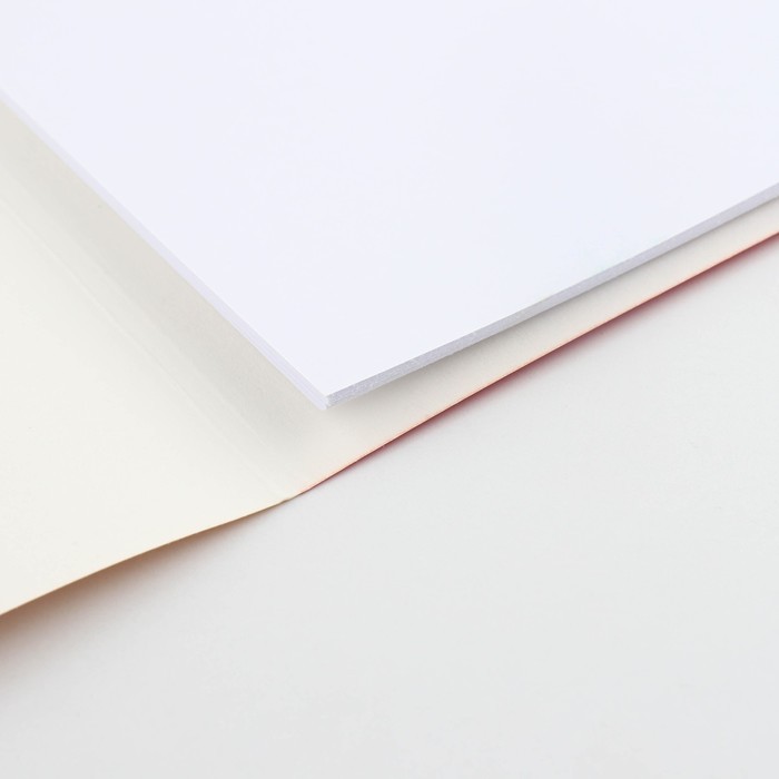 Бумага для черчения А3, 20 листов, без рамки, белизна 100%, 200 г/м² в папке