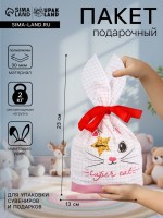 Пакет полиэтиленовый подарочный с ушками «Котенок», 13×23 см