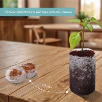 Таблетки кокосовые, для рассады, d = 4 см, с оболочкой, набор 6 шт., Greengo
