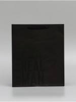 Пакет подарочный ламинированный, упаковка, «Мужская воля», M 25.5×30×9 см