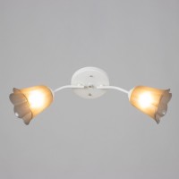 Люстра "Онлайн" (цветок) 2х15Вт Е27 МОДЕЛЬ: BR 00198 белый/черный