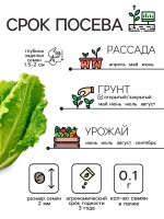 Семена Капуста пекинская "Нежность", 0,1 г